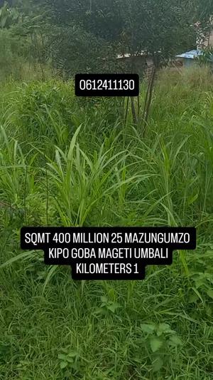 Kiwanja kinauzwa Goba Mageti, Dar Es Salaam (400 sqm)