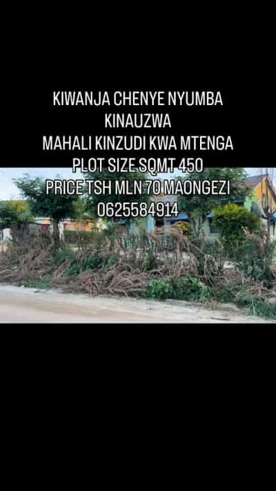 Nyumba inauzwa Kinzudi Kwa Mtenga, Rukwa (450 sqm)