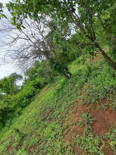 Shamba linauzwa Lubungo, Village sanga sanga, Morogoro (500000 sqm)