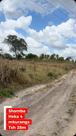 Shamba linauzwa Mkuranga, Pwani (4 acre) Shamba linauzwa Mkuranga, Pwani (4 acre)