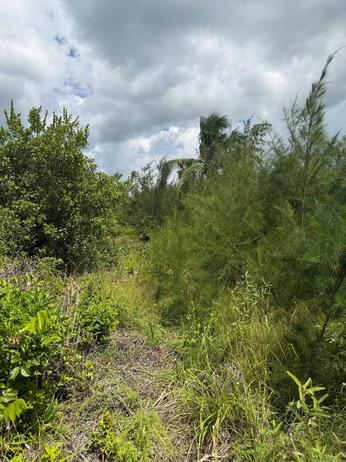 Plot for sale in Pongwe Ya Uroa, Tanga sqm 1640