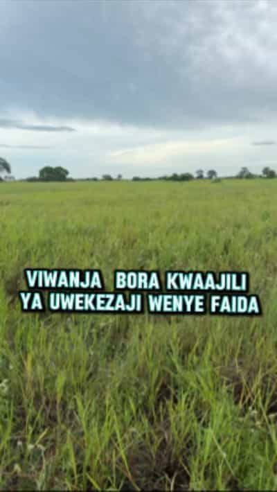 Viwanja vinauzwa Kigamboni Kimbiji, Dar Es Salaam (541 sqm)