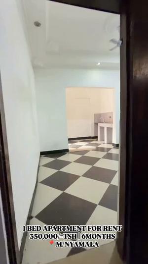 1 Bedroom House/Apartment for Rent in Mwananyamala, Dar Es Salaam