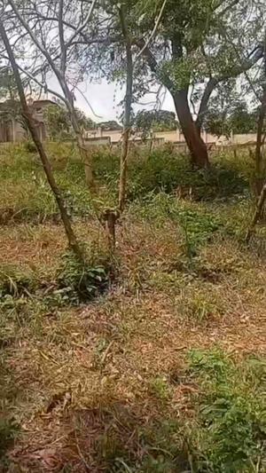 Kiwanja kinauzwa Goba Njia Nne, Lilian Kibo, Dar Es Salaam (6000 sqm) Kiwanja kinauzwa Goba Njia Nne, Lilian Kibo, Dar Es Salaam (6000 sqm)