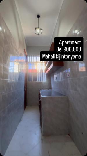 2 Bedrooms Apartment for Rent in Kijitonyama, Dar Es Salaam 2 Bedrooms Apartment for Rent in Kijitonyama, Dar Es Salaam