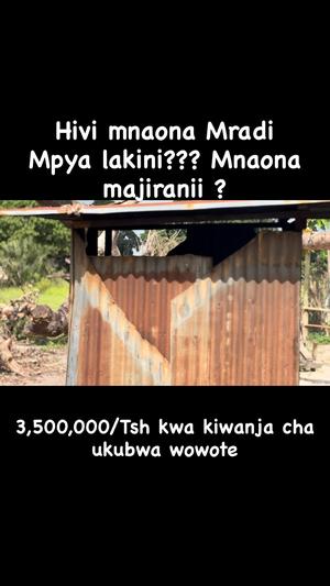 Plots for sale in Kiromo Chambezi, Pwani sqm 800 Plots for sale in Kiromo Chambezi, Pwani sqm 800