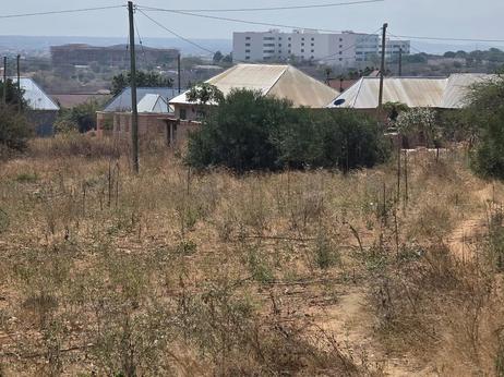 Kiwanja kinauzwa Udom Benjamin Mkapa, Dodoma sqm 1100 Kiwanja kinauzwa Udom Benjamin Mkapa, Dodoma sqm 1100