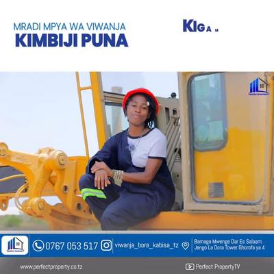 Residential Plots for Sale in Kigamboni Kimbiji Puna, Dar Es Salaam (500 sqm) Residential Plots for Sale in Kigamboni Kimbiji Puna, Dar Es Salaam (500 sqm)