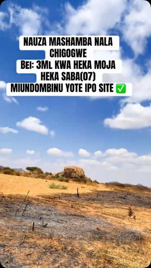 Farms for Sale in Dodoma Farms for Sale in Dodoma