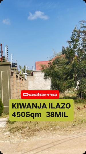 Kiwanja kinauzwa Ilazo, Dodoma sqm 450 Kiwanja kinauzwa Ilazo, Dodoma sqm 450
