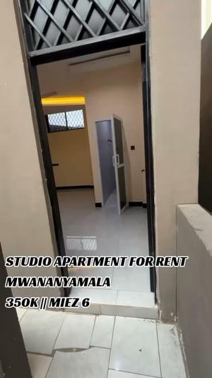Studio Apartment for Rent in Mwananyamala, Dar Es Salaam