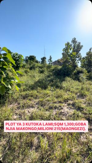 Kiwanja kinauzwa Goba Njia Makongo, Dar Es Salaam (1300 sqm) Kiwanja kinauzwa Goba Njia Makongo, Dar Es Salaam (1300 sqm)