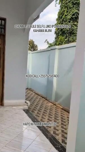 1 Bedroom House for Rent in Mhongolo, Kahama, Shinyanga 1 Bedroom House for Rent in Mhongolo, Kahama, Shinyanga