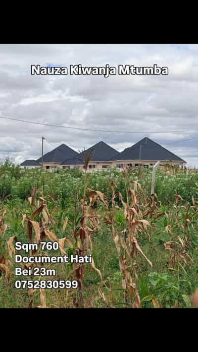 Kiwanja kinauzwa Mtumba Mji Wa Kiserikali, Dodoma (760 sqm)