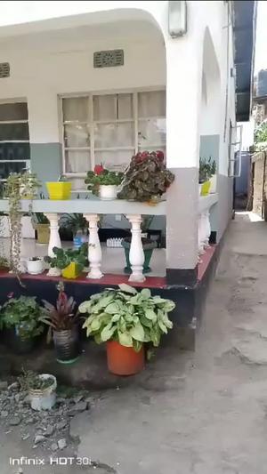Studio Apartment for Rent in Arusha Studio Apartment for Rent in Arusha