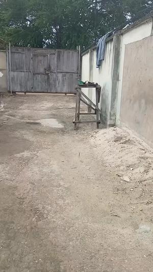 1 Bedroom House for Rent in Kinondoni Mango Garden, Dar Es Salaam