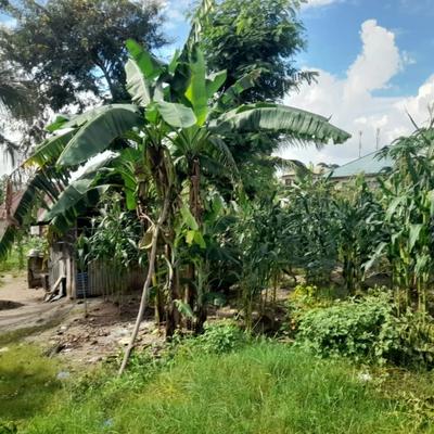 Kiwanja kinauzwa Kimara Suka Golani, Dar Es Salaam (704 sqm)