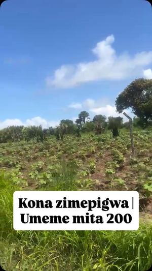 Viwanja vinauzwa Kimbiji, Dar Es Salaam Viwanja vinauzwa Kimbiji, Dar Es Salaam