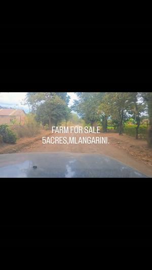 Farm for Sale in Mlangarini, Arusha (5 acre) Farm for Sale in Mlangarini, Arusha (5 acre)