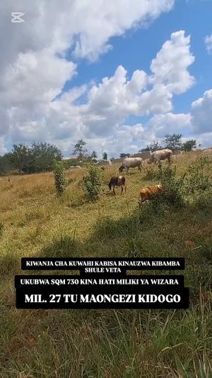 Plot for sale in Kibamba Shule Veta, Dar Es Salaam sqm 730