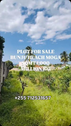 Kiwanja kinauzwa Bunju Beach Moga, Dar Es Salaam sqm 1000 Kiwanja kinauzwa Bunju Beach Moga, Dar Es Salaam sqm 1000