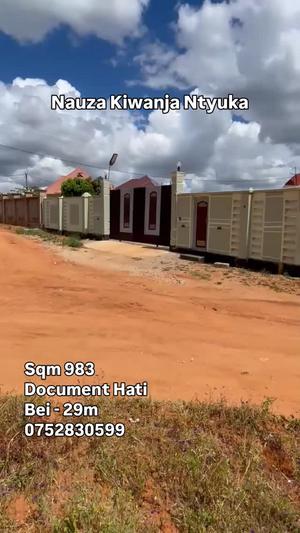 Plot for sale in Ntyuka Udom, Dodoma sqm 983