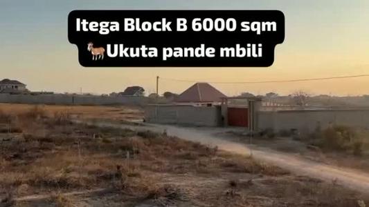 Shamba linauzwa Itega Kitalu B, Dodoma (6000 sqm) Shamba linauzwa Itega Kitalu B, Dodoma (6000 sqm)