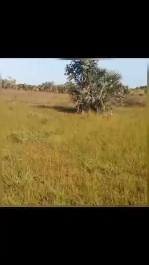 Shamba linauzwa Mwanzega, Mkuranga, Pwani (120 acre) Shamba linauzwa Mwanzega, Mkuranga, Pwani (120 acre)