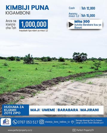 Viwanja vinauzwa Kimbiji Puna, Dar Es Salaam sqm 500