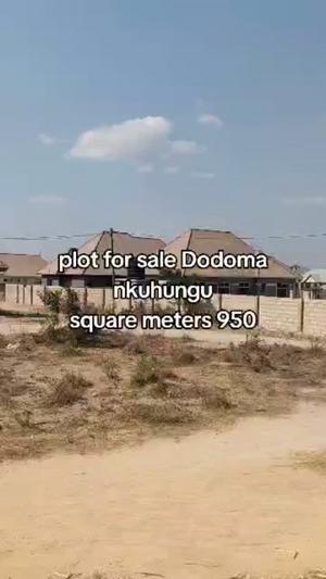 Kiwanja kinauzwa Nkuhungu, Dodoma (950 sqm) Kiwanja kinauzwa Nkuhungu, Dodoma (950 sqm)