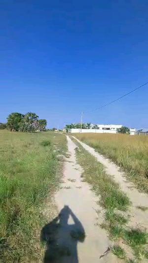 Plot for sale in Kigamboni Mwembe Mdogo, Dar Es Salaam sqm 760 Plot for sale in Kigamboni Mwembe Mdogo, Dar Es Salaam sqm 760