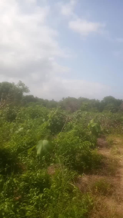 Farm for sale in Mkuranga, Pwani