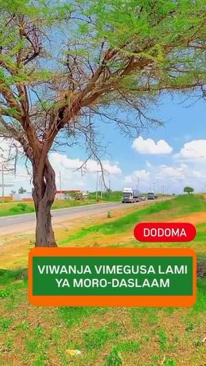 Residential Plot for Sale in Mtumba Stendi, Dodoma (11000 sqm) Residential Plot for Sale in Mtumba Stendi, Dodoma (11000 sqm)
