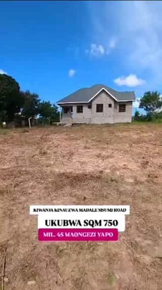 Kiwanja kinauzwa Madale Msumi, Dar Es Salaam (750 sqm) Kiwanja kinauzwa Madale Msumi, Dar Es Salaam (750 sqm)
