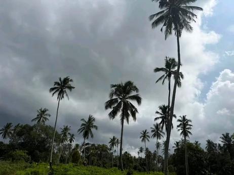 Viwanja vinauzwa Dole, Zanzibar - Unguja South (2500 sqm)