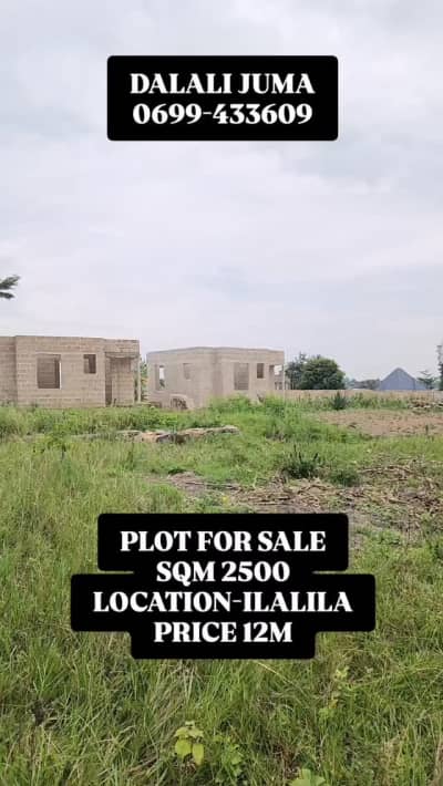 Kiwanja kinauzwa Buswelu, Mwanza Kiwanja kinauzwa Buswelu, Mwanza