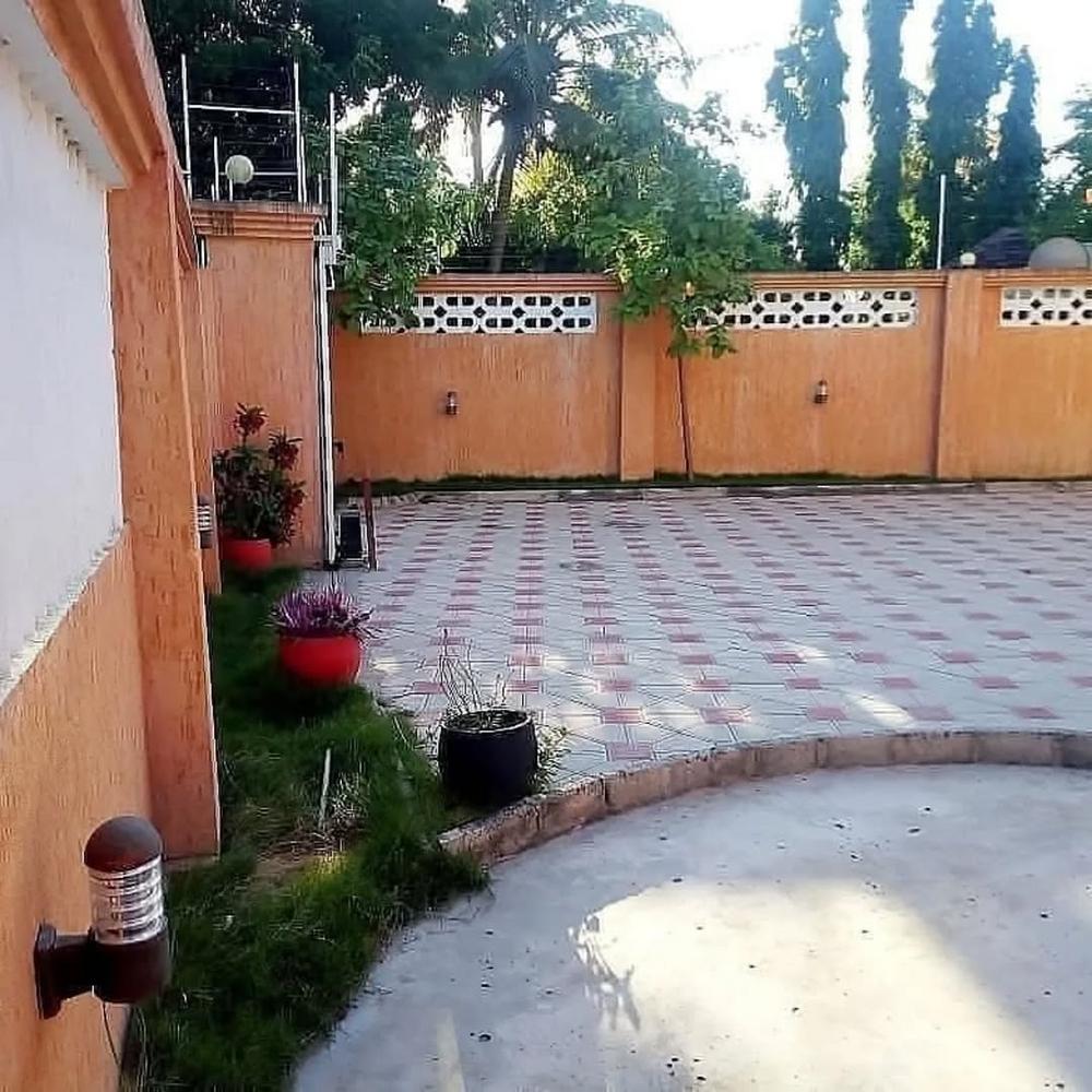 media -2 media -2