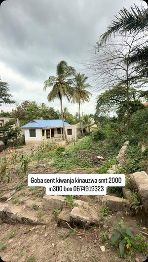 Plot for sale in Goba, Dar Es Salaam sqm 2000