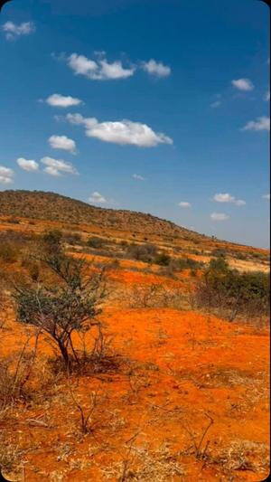 Mashamba yanauzwa Chikola Chigogwe, Dodoma