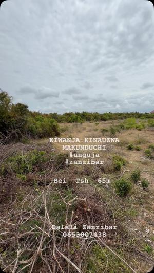 Residential Plot for Sale in Makunduchi, Zanzibar (765 sqm) Residential Plot for Sale in Makunduchi, Zanzibar (765 sqm)