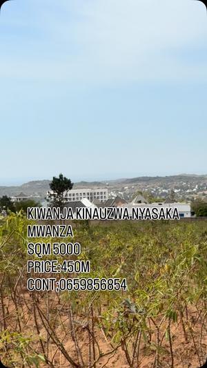 Residential Plot for Sale in Nyasaka, Mwanza (5000 sqm)