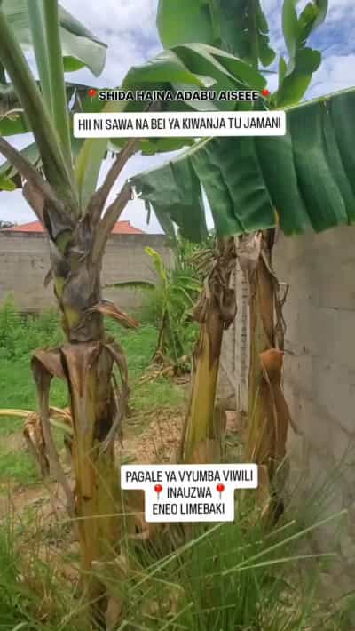 Nyumba ya vyumba viwili inauzwa Madale, Dar Es Salaam