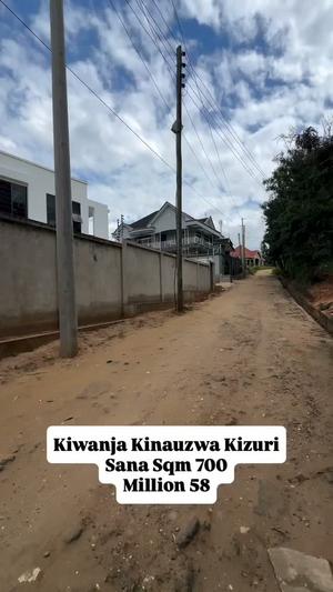 Kiwanja kinauzwa Goba Kwarobart, Dar Es Salaam sqm 700