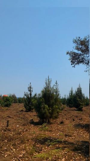 Farms for Sale in Mgodechi Ramadhani, Njombe (11 acre)