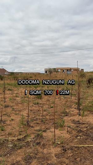 Kiwanja kinauzwa Nzuguni, Dodoma sqm 700