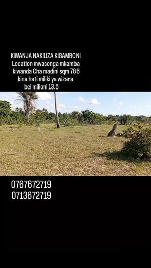 Plot for sale in Mwasonga Mkamba, Dar Es Salaam sqm 686