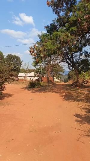 Kiwanja kinauzwa Mjimwema Songea, Ruvuma (1 acre) Kiwanja kinauzwa Mjimwema Songea, Ruvuma (1 acre)