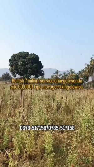 Residential Plot for Sale in Kingolwira, Morogoro (400 sqm) Residential Plot for Sale in Kingolwira, Morogoro (400 sqm)