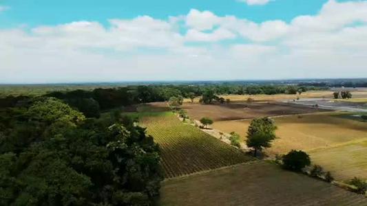 Farm for Sale in Usa River, Arusha (61 acre) Farm for Sale in Usa River, Arusha (61 acre)