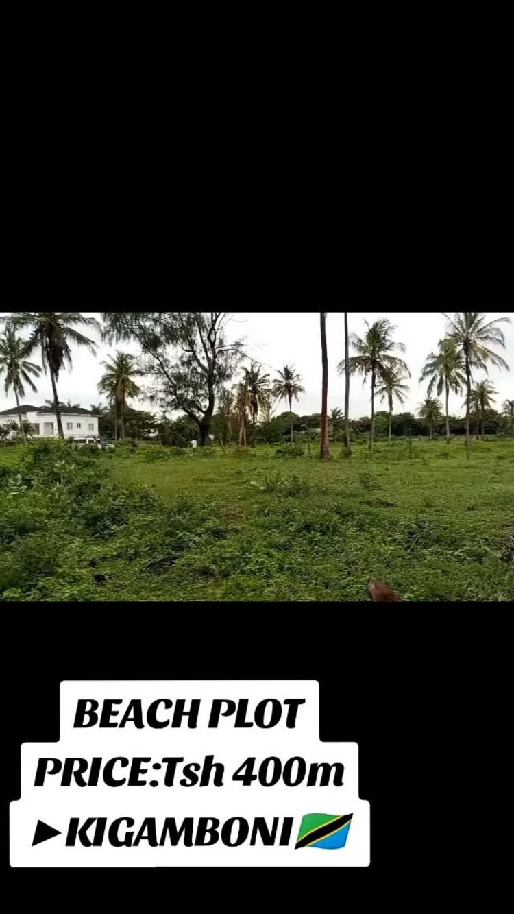 media -1 media -1